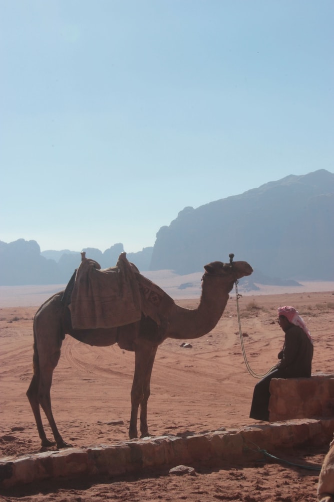 bedouin nomads adventures