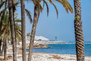 hostal altea house