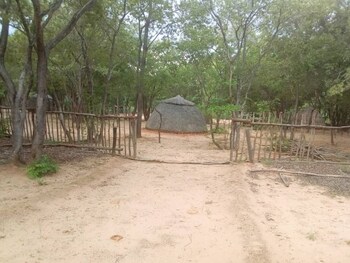 dumisa african home