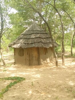 dumisa african home