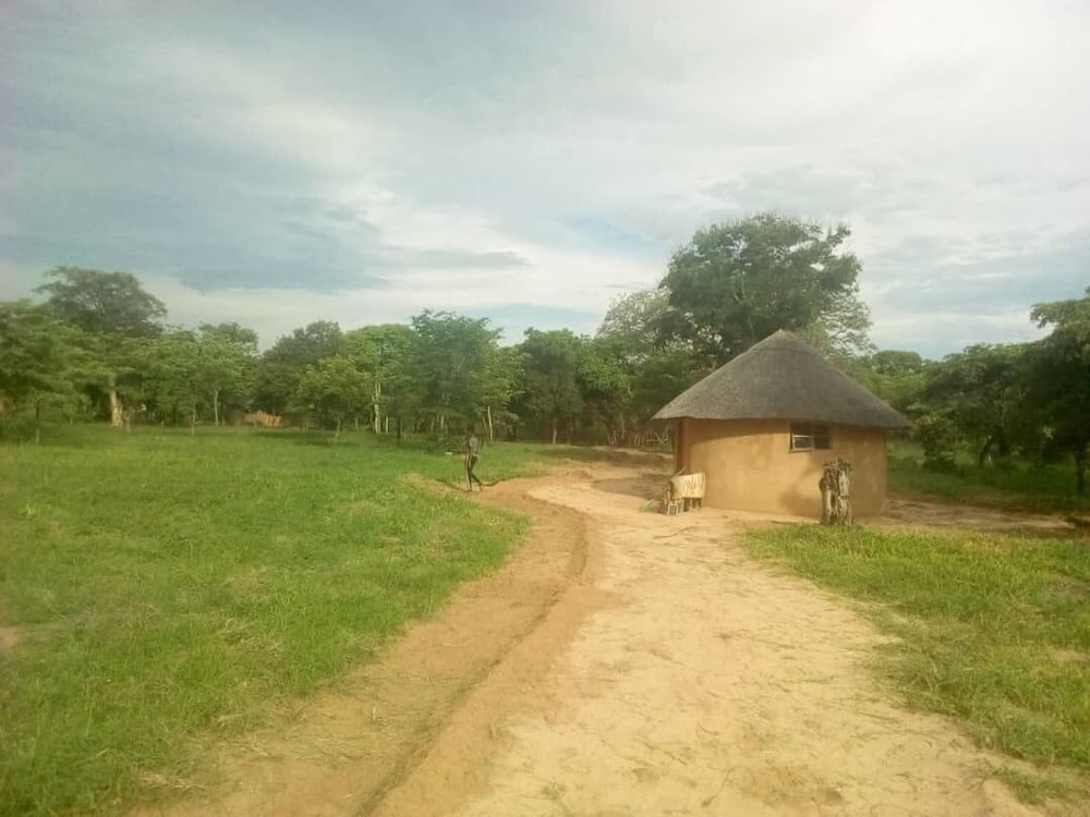 dumisa african home