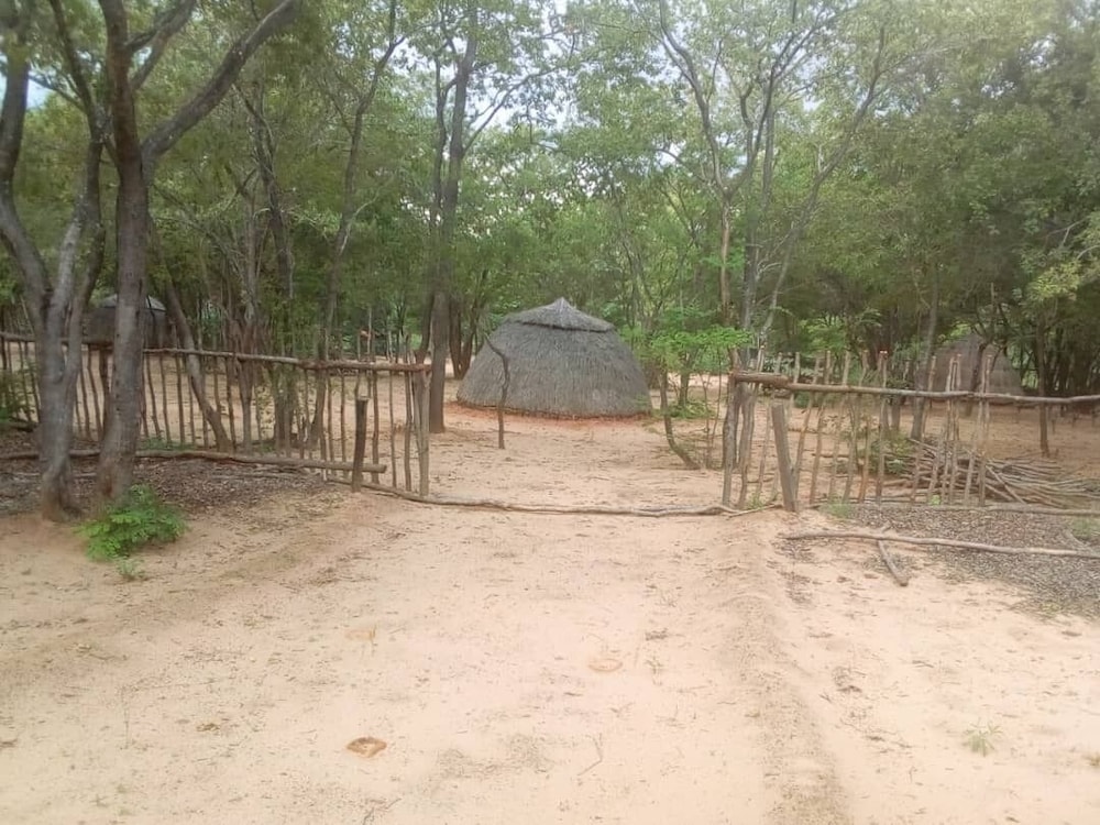 dumisa african home