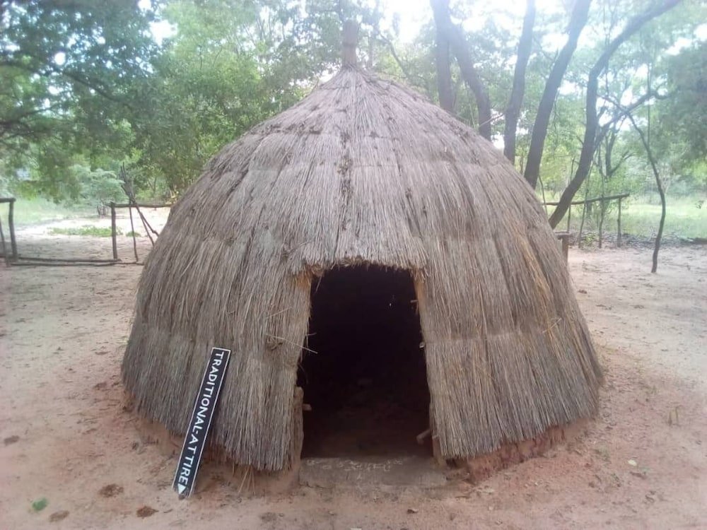 dumisa african home