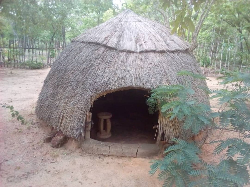 dumisa african home