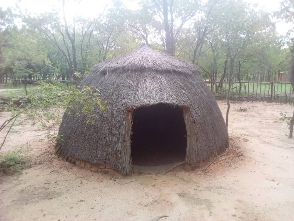 dumisa african home