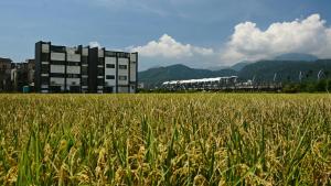 dongshan