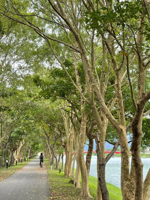 hi zebra travel bandb