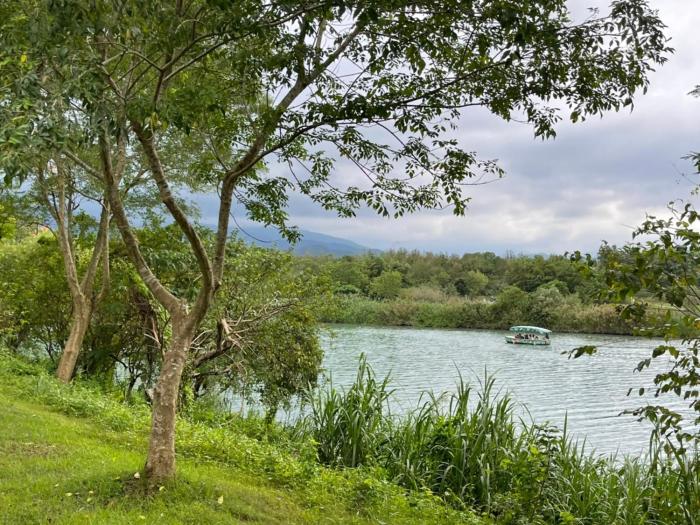 hi zebra travel bandb