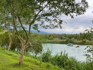 hi zebra travel bandb