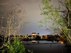 hi zebra travel bandb