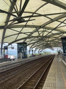 hi zebra travel bandb