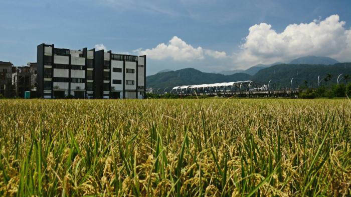 hi zebra travel bandb