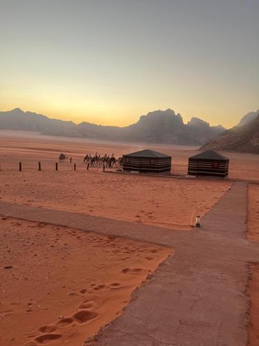 wadi rum