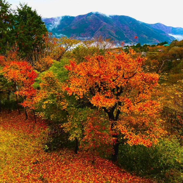 gran terrace le lien hakone