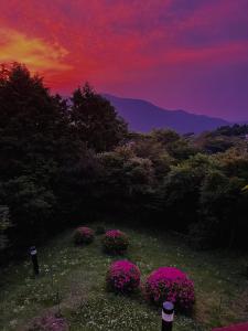 gran terrace le lien hakone