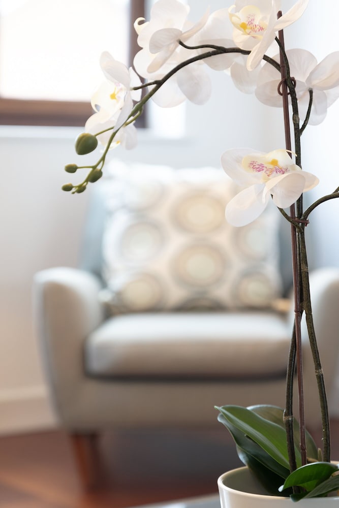 hampden apartments the henry