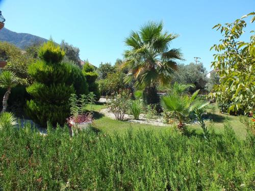 fethiye