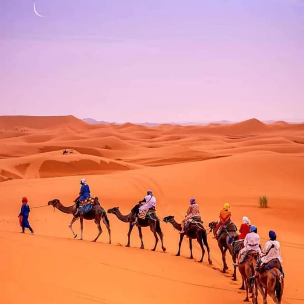 desert heart luxury camp