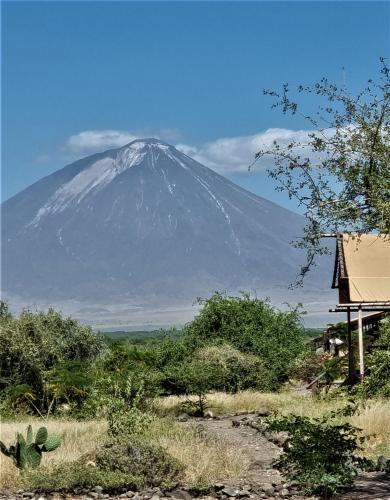 ngorongoro