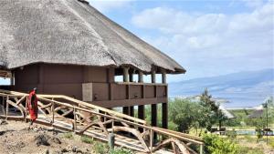 ngorongoro