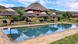 ngorongoro