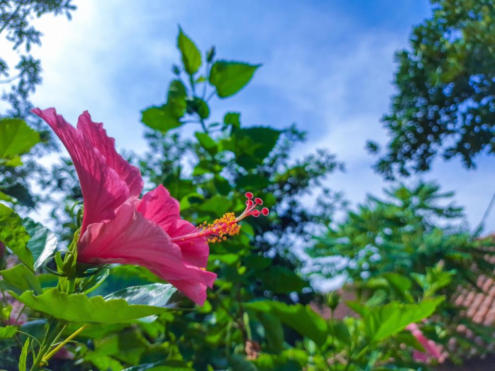 apartemen bogor valley