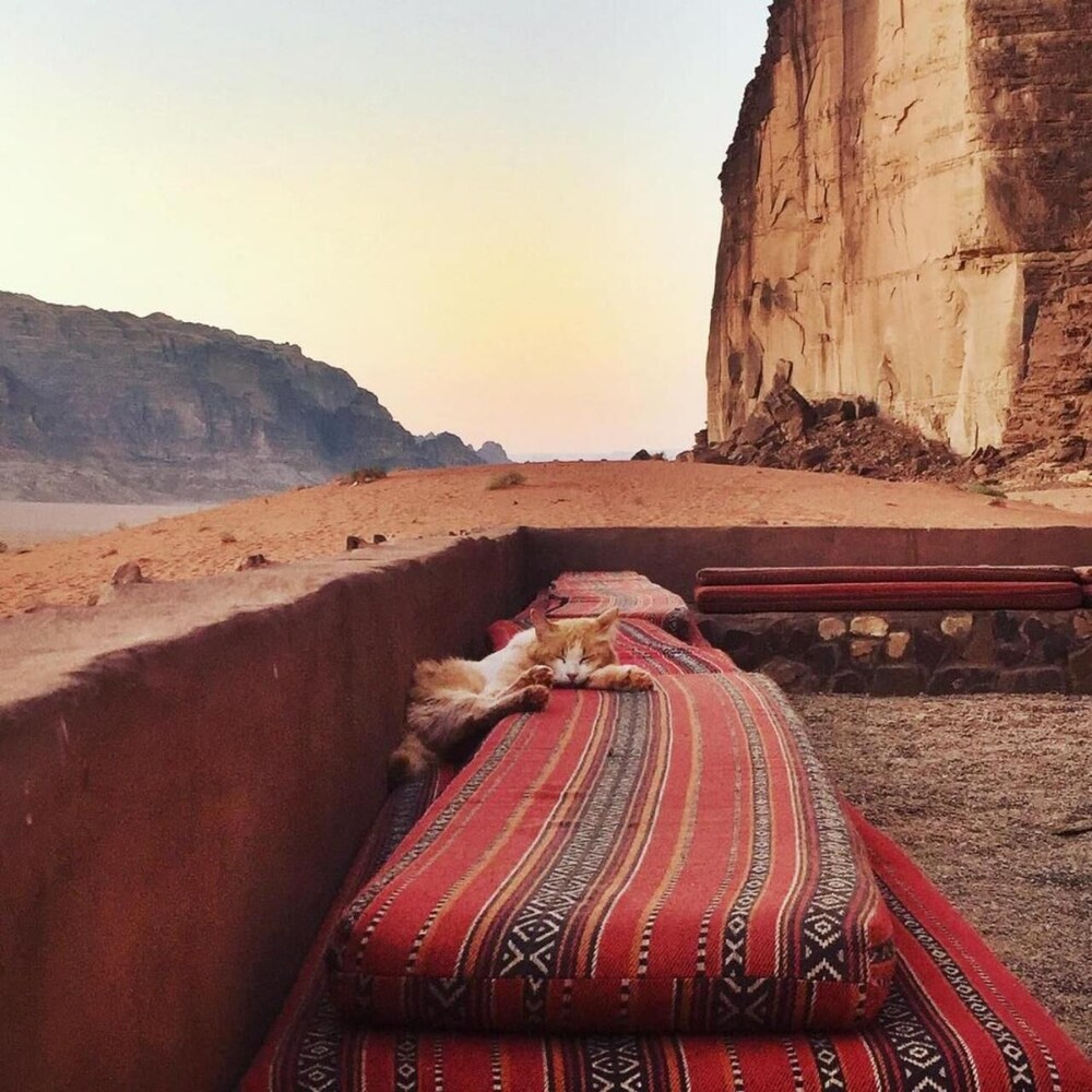 bedouins desert camp