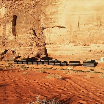 bedouins desert camp