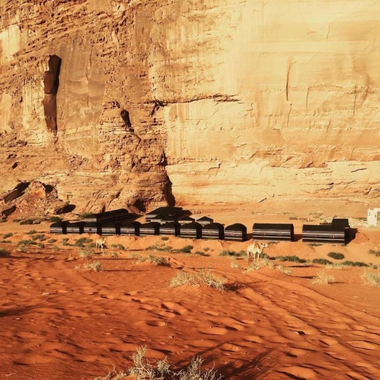 bedouins desert camp