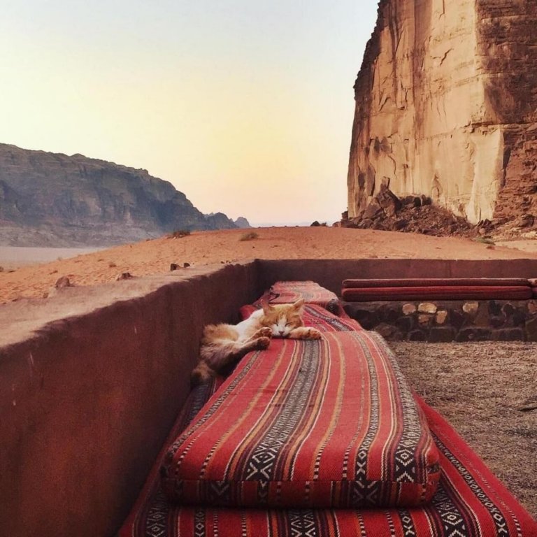 bedouins desert camp