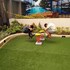 ecj cozy studio units at horizons 101
