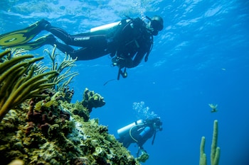 st jamess club antigua all inclusive