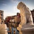 chioggia
