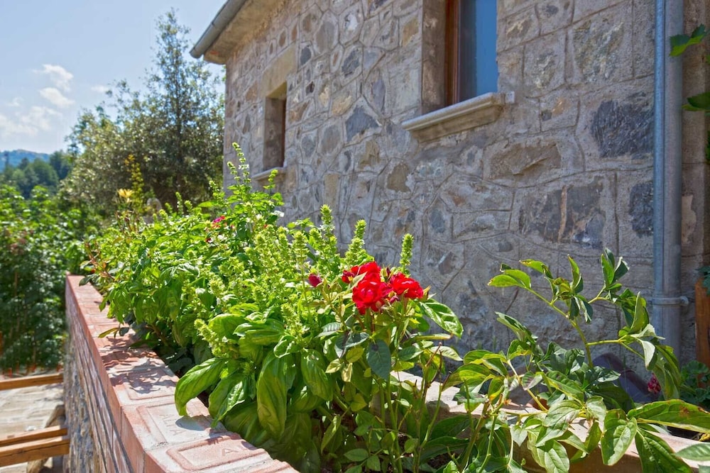 terranova di pollino