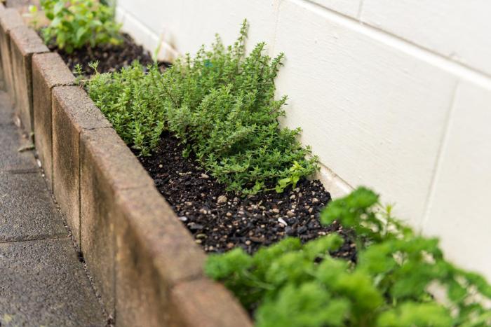 bay of islands lodge