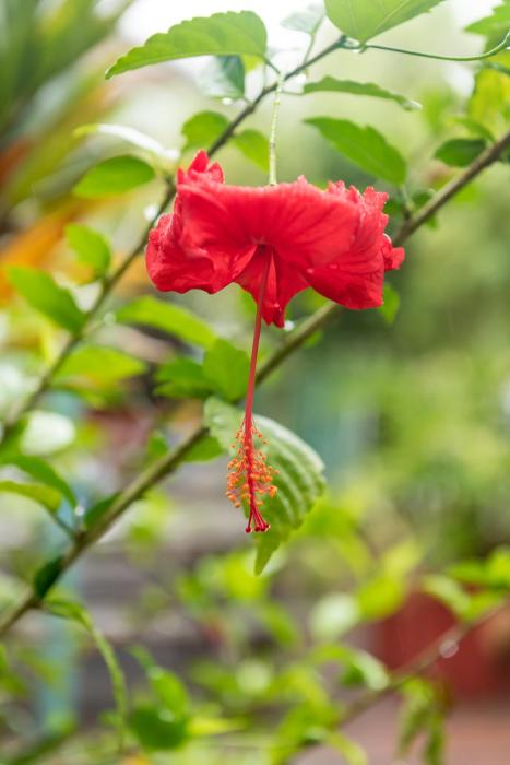 bay of islands lodge