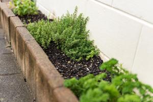 bay of islands lodge