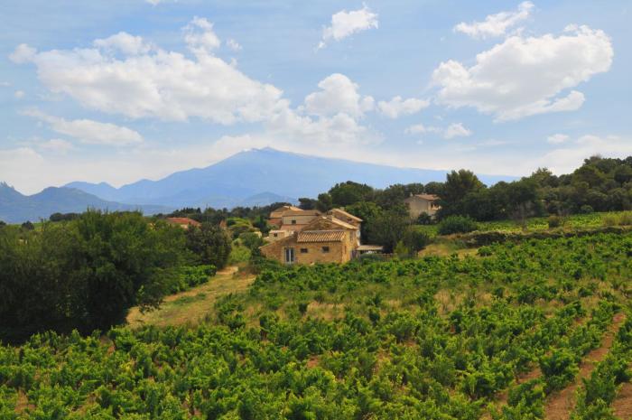 le mas mellou