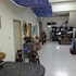 hsianghua 81 homestay