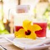 pousada hibiscus