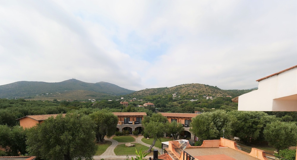 camerota