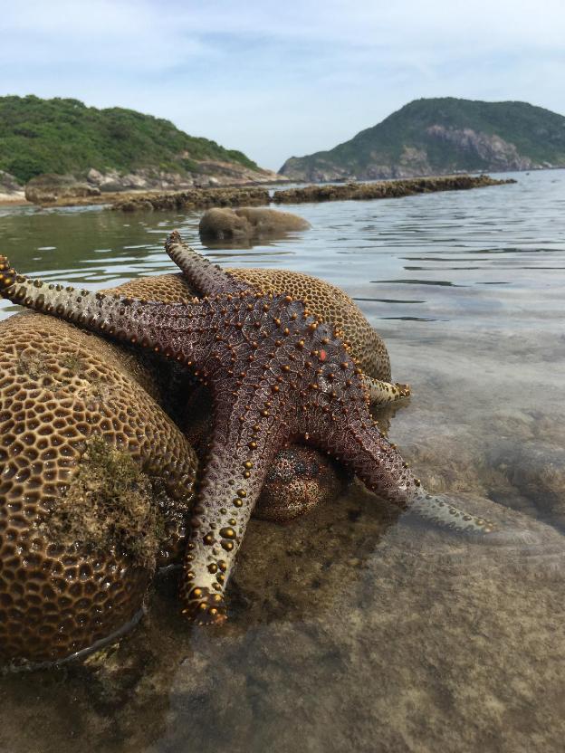 cham island homestay lau thu