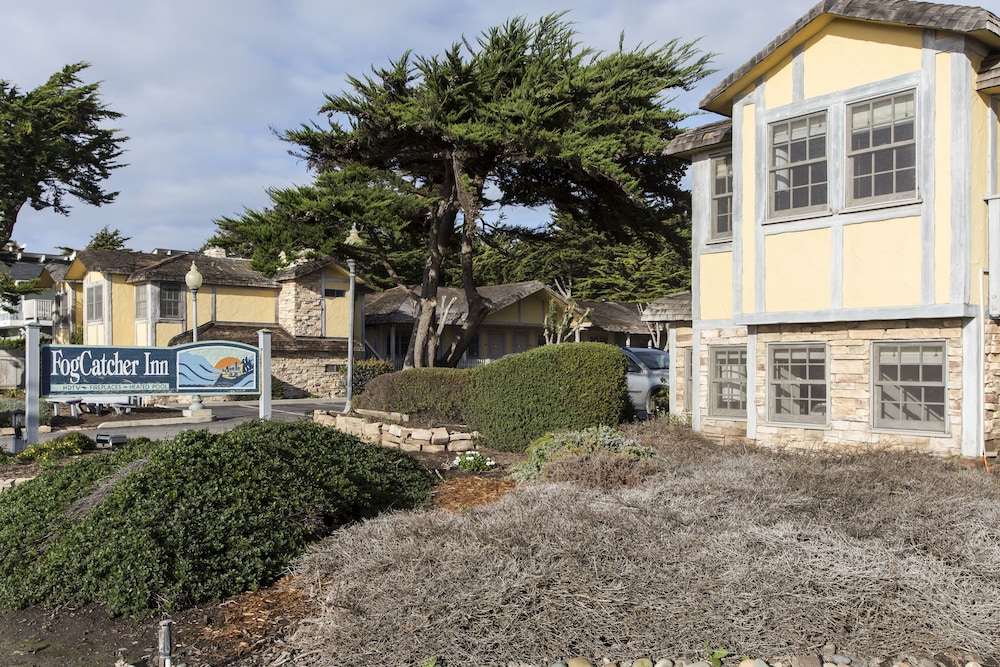 cambria