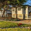 cambria