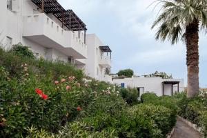 villa emilia with private swimming pool
