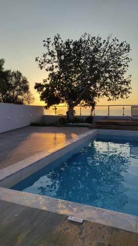 villa emilia with private swimming pool