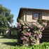 cetona