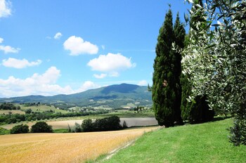 cetona
