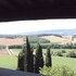 cetona