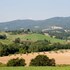 cetona